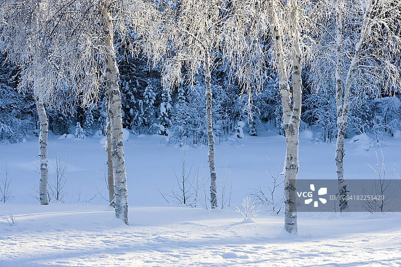 瑞典的霜雪图片素材