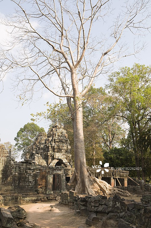 柬埔寨暹粒吴哥通王城班迭哥迪寺，联合国教科文组织世界遗产图片素材