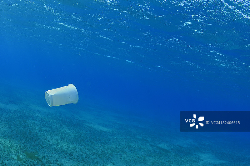 海中的塑料杯，红海，埃及图片素材