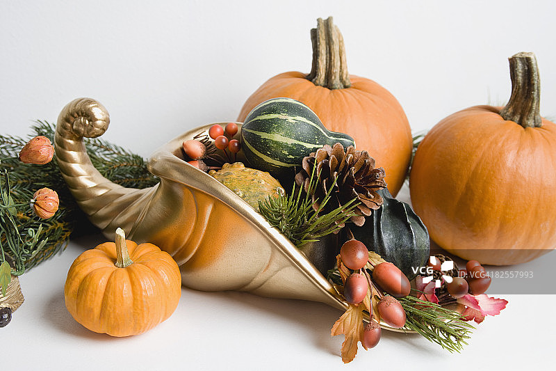 秋季南瓜和葫芦图片素材