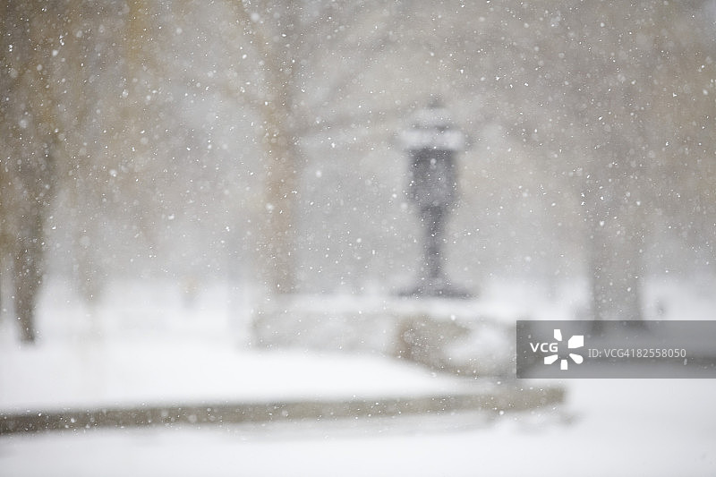 马萨诸塞州波士顿公共花园的雪景图片素材