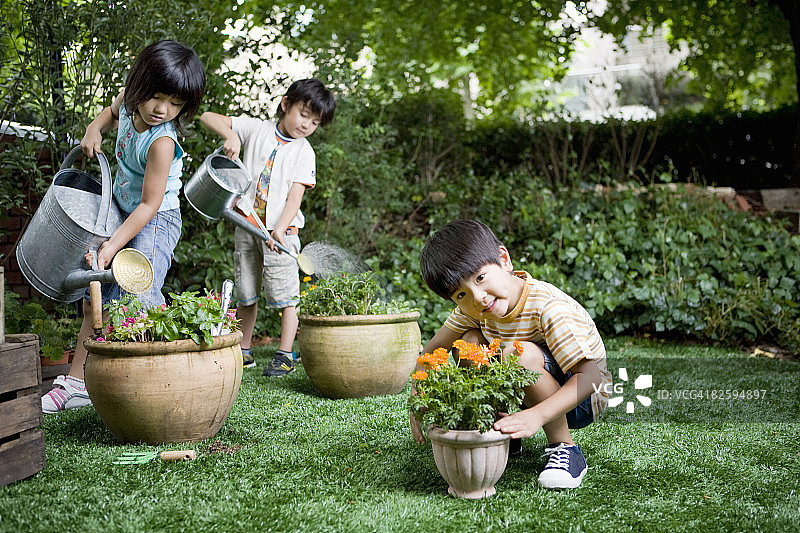 孩子们用水壶给盆栽花浇水图片素材