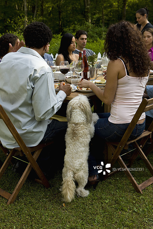 在乡村住宅参加户外花园派对的西班牙裔人图片素材