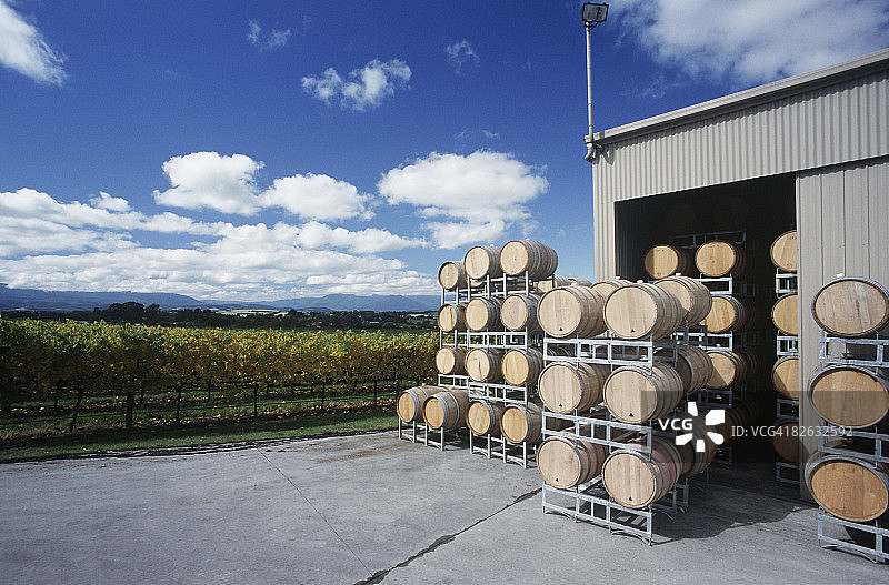 亚拉河谷维多利亚葡萄酒庄园的桶装葡萄酒图片素材