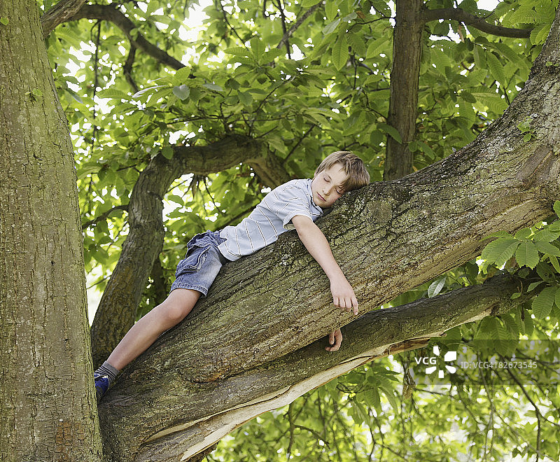 男孩在树上睡觉图片素材