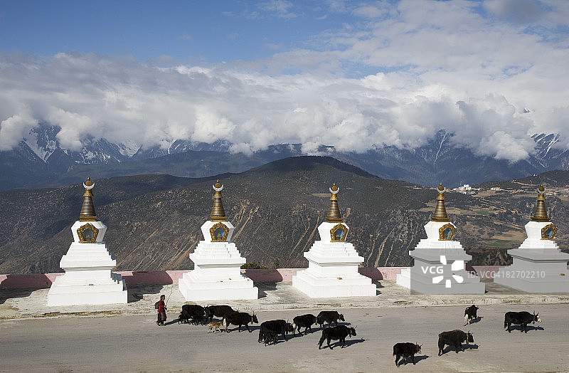 佛教佛塔图片素材