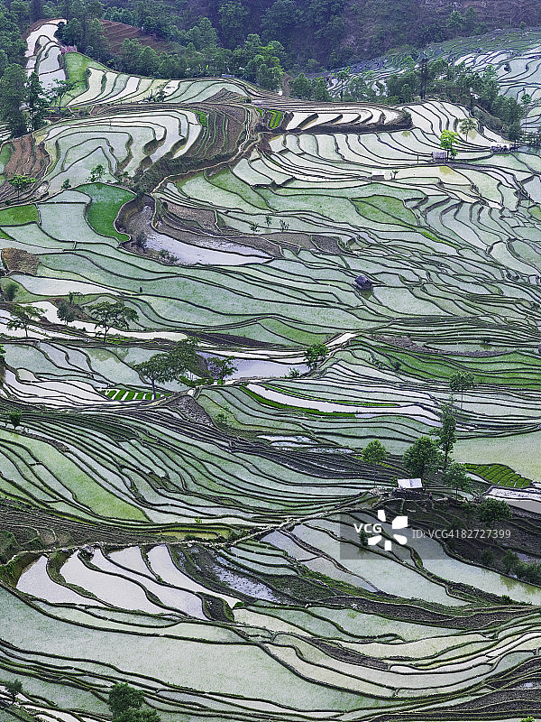 元阳梯田图片素材