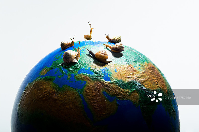 蜗牛图片素材