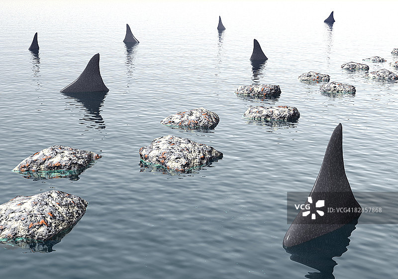 鲨鱼群沿着石阶图片素材