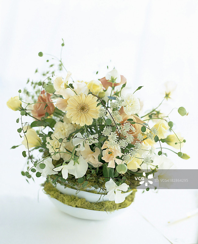 苔藓花瓶中的非洲菊、玫瑰、丽anthus和香豌豆图片素材