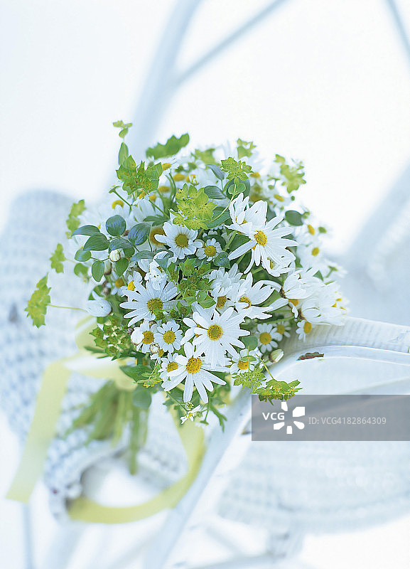 椅子上的雏菊花束图片素材