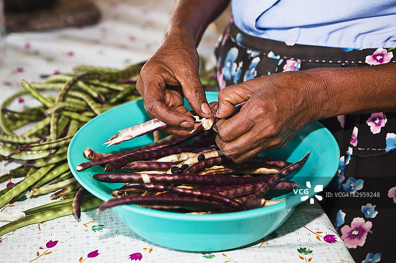 在墨西哥韦拉克鲁斯帕潘特拉，妇女手工剥干豆的半身照图片素材
