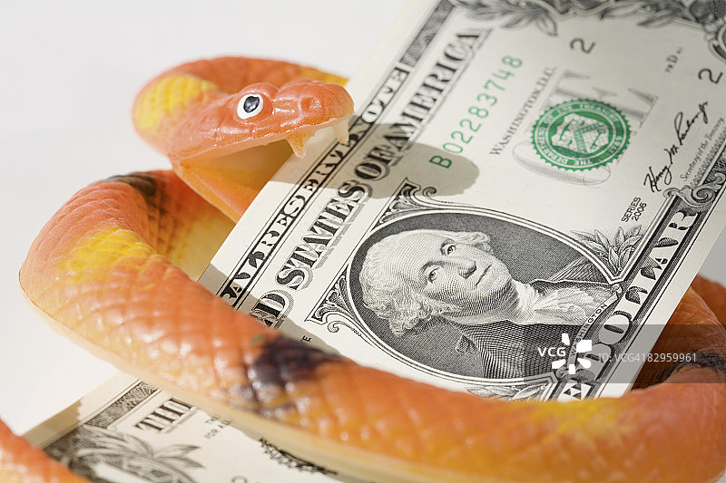 缠绕在美国纸币上的蛇雕像图片素材