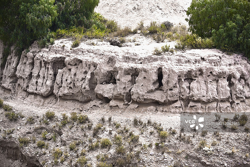 墨西哥圣路易斯波托西Real De Catorce岩层上的树木图片素材