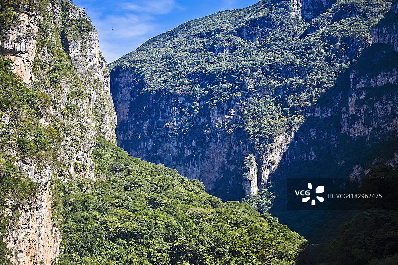 墨西哥恰帕斯州苏米德罗峡谷的山脉上的树木图片素材