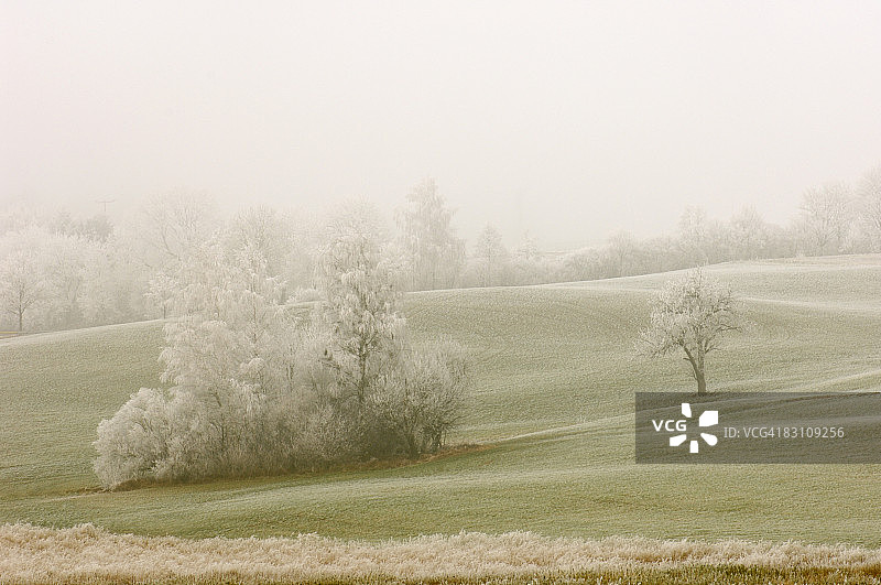 德国巴登-符腾堡：冰霜覆盖下的德根豪塞尔塔尔图片素材