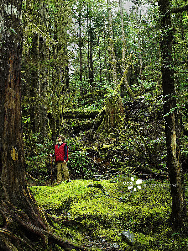 男孩站在森林里抬头看图片素材
