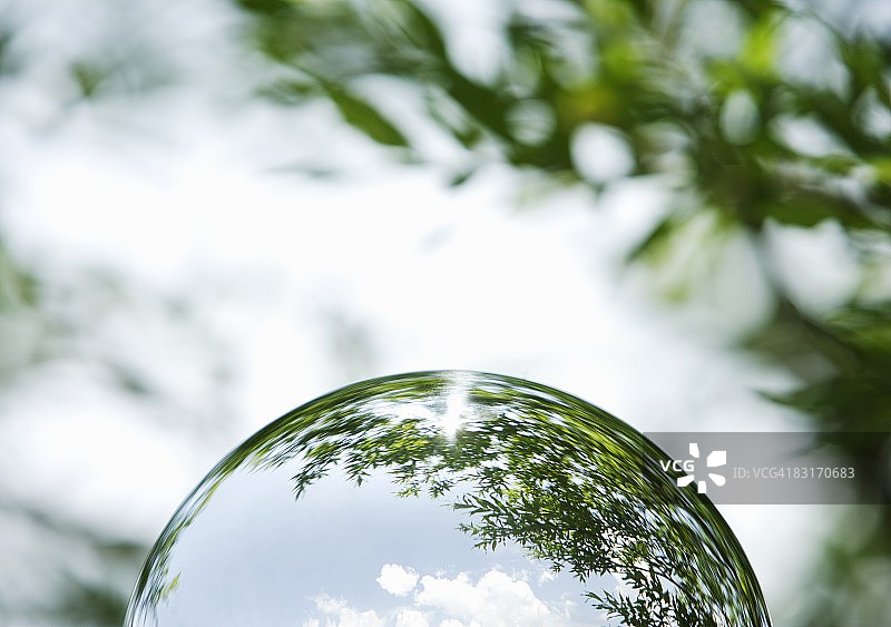 树木出现的半球图片素材