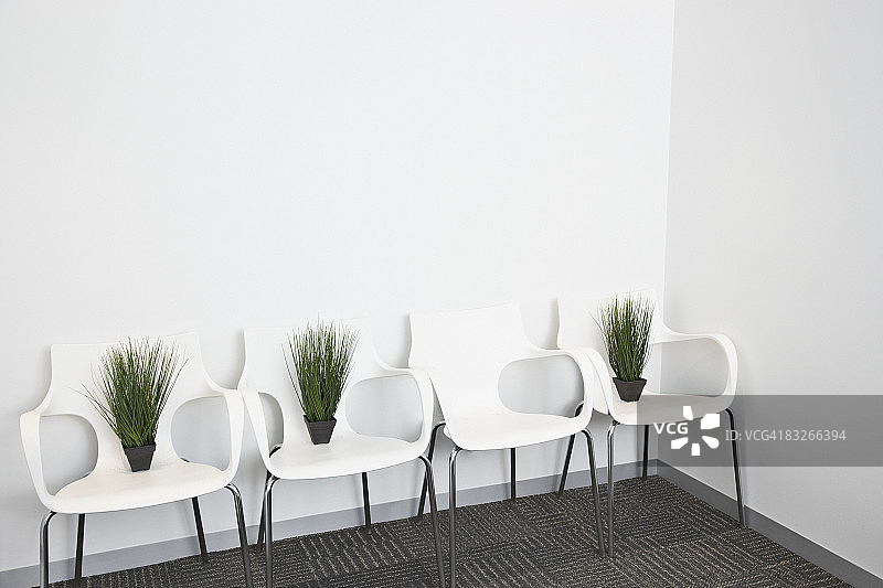 现代办公椅上的植物图片素材