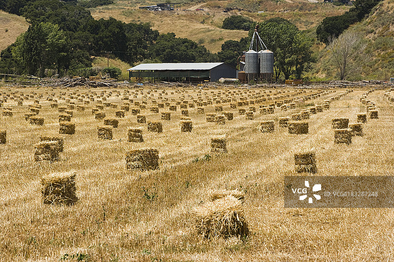 带有干草捆的田野上的老式拖拉机图片素材