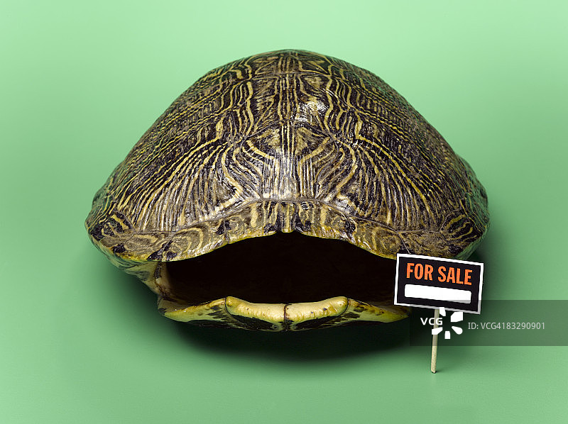带有出售标志的空龟壳图片素材