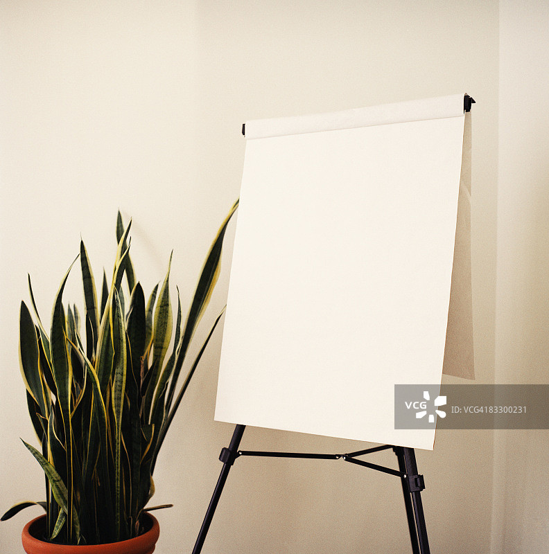 画架垫和盆栽植物图片素材