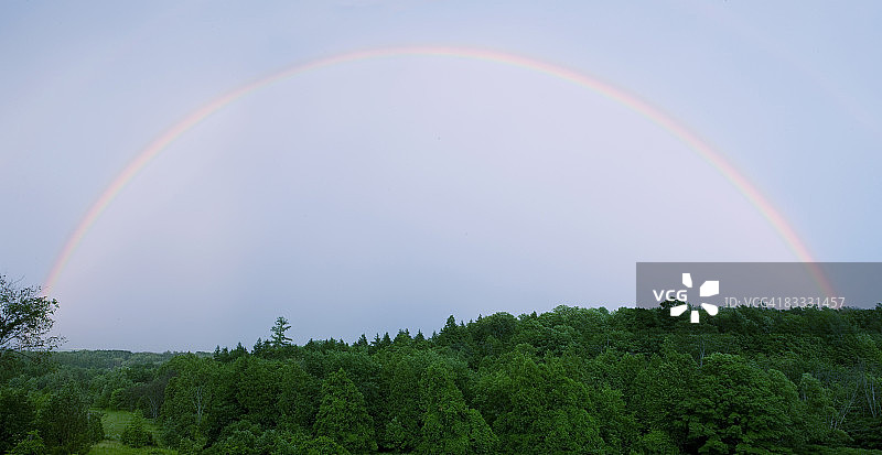 树上的彩虹图片素材
