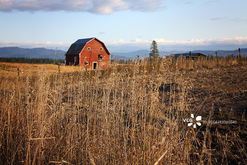 燕麦收割和谷仓图片素材