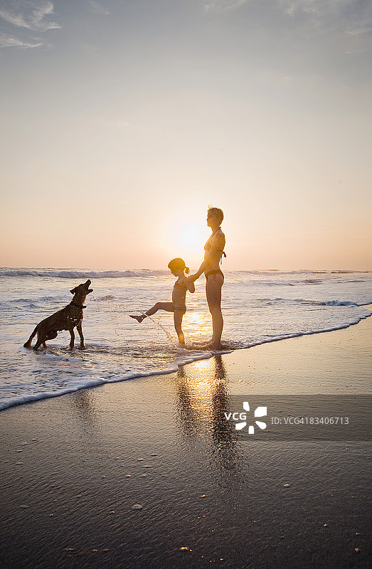 女人和女儿带着狗在海浪中玩耍图片素材