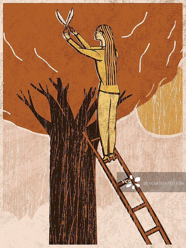 女人在梯子上修剪树木图片素材