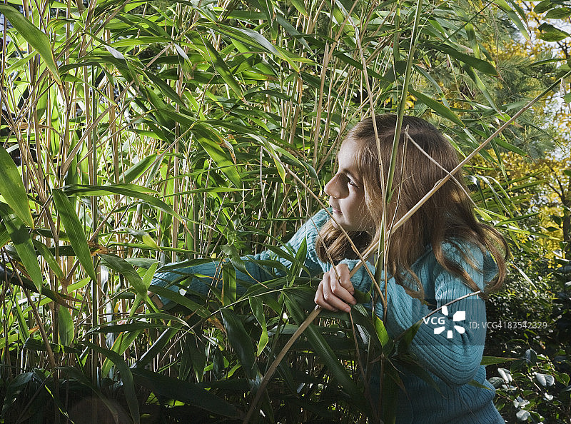 女孩在竹林中眺望图片素材