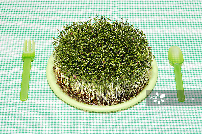 豆瓣菜拼盘图片素材