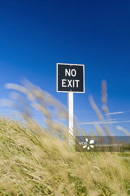 长草中的禁止出口标志图片素材