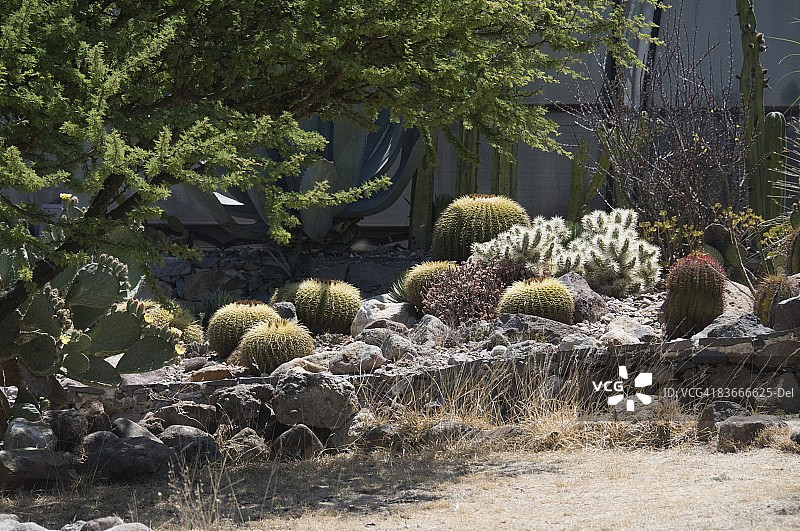 墨西哥瓜纳华托州圣米格尔德阿连德植物园图片素材