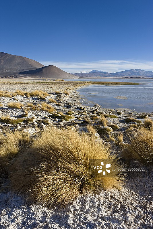 阿塔卡马沙漠洛斯弗拉门科斯国家保护区盐湖风光，智利图片素材