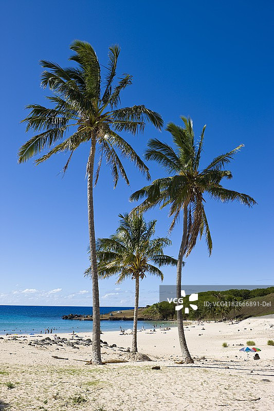 复活节岛阿纳凯纳海滩：白色沙滩与棕榈树图片素材