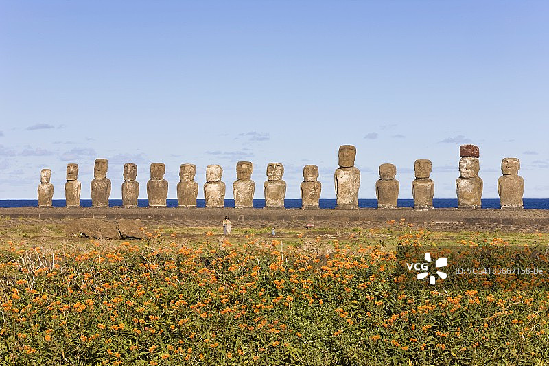 阿胡汤加里基：岛上最大的阿胡，由15尊巨型摩艾石像组成，位于拉帕努伊（复活节岛），联合国教科文组织世界遗产，智利，南美洲图片素材