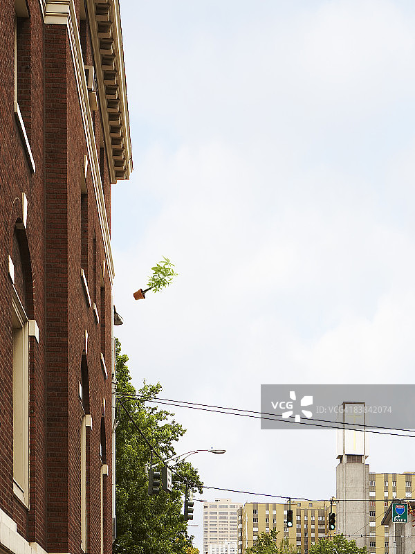 从窗户扔出的植物图片素材