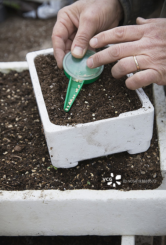 有机农场农民在育苗图片素材