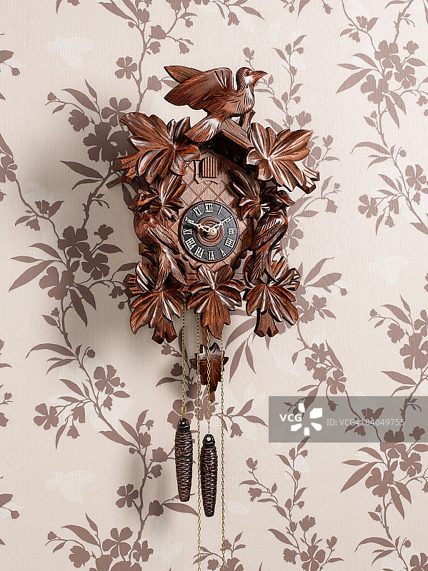 墙纸墙上的布谷鸟钟图片素材