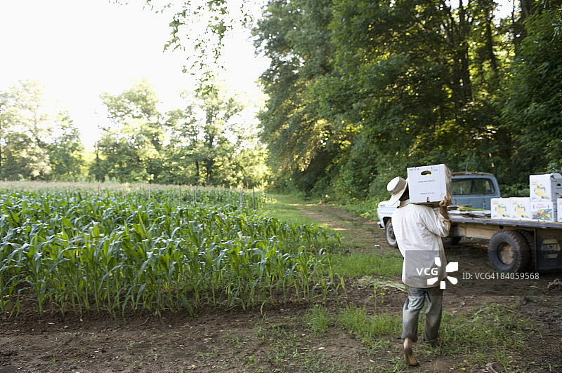 农场工人搬运农产品图片素材