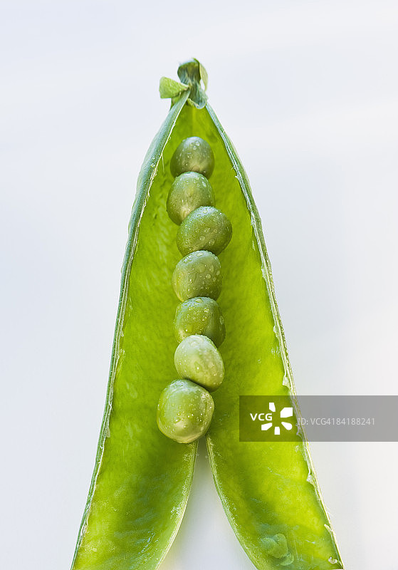 豆荚里的青豆图片素材