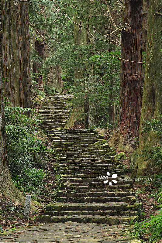 日本和歌山县熊野古道大门坂森林步道图片素材