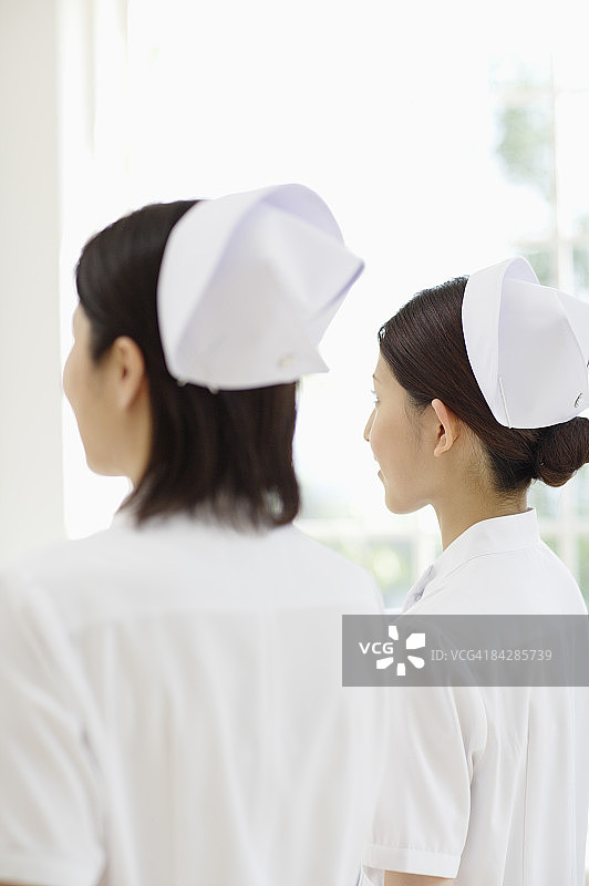 女护士背影图片素材