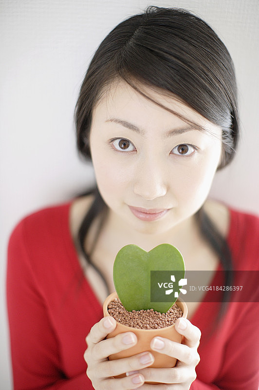 女人手持盆栽特写图片素材