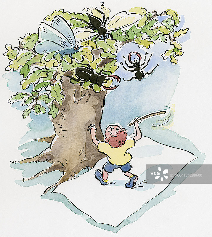男孩用棍子使昆虫从树顶掉到白布上的卡通图片素材