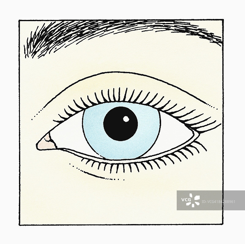 蓝色虹膜和黑色瞳孔的人眼插画图片素材