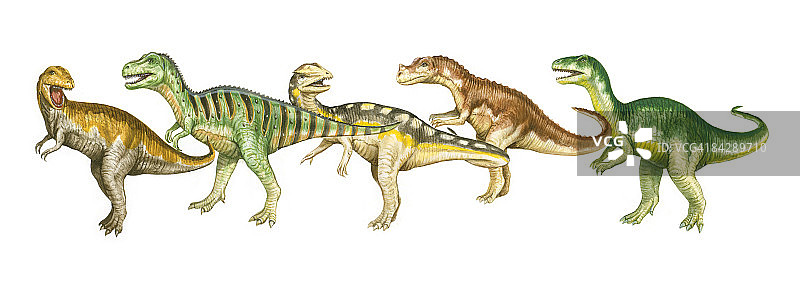 艾伯塔龙、特暴龙、双脊龙、角鼻龙和异特龙恐龙插画图片素材