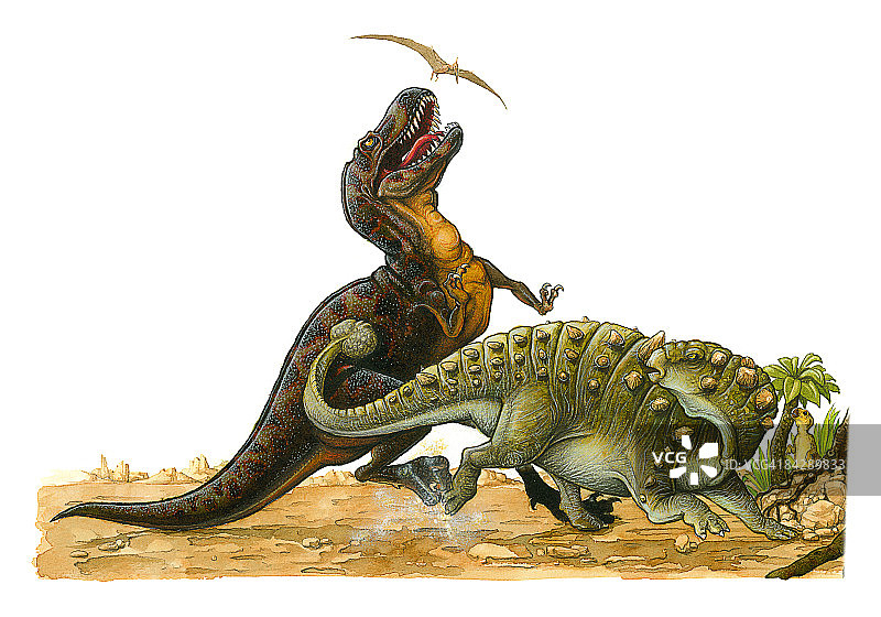 翼龙飞过霸王龙上方，结节龙用尾巴击打大型恐龙身体的场景图片素材