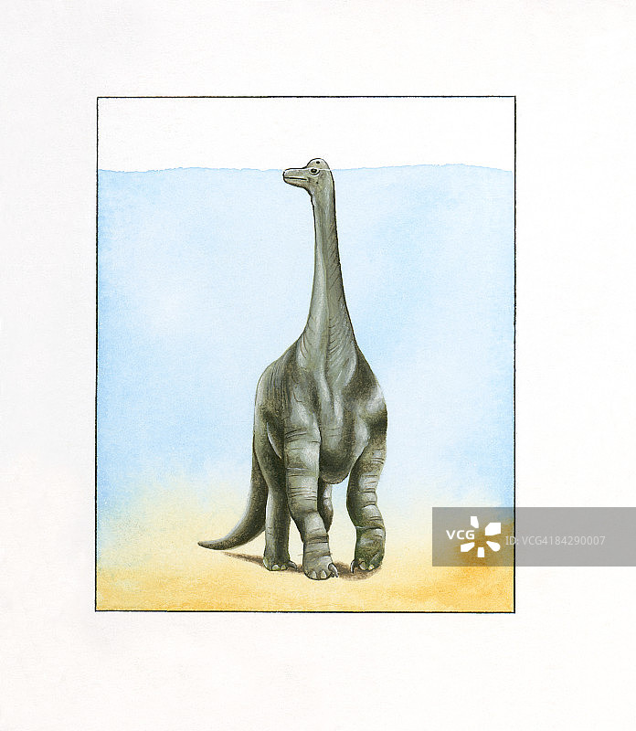 大型巴洛龙水下行走，长颈露出水面插画图片素材